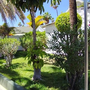 Apartamento Deluxe de 2 Dormitorios